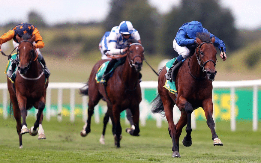 How Racehorses Develop Muscle Power
