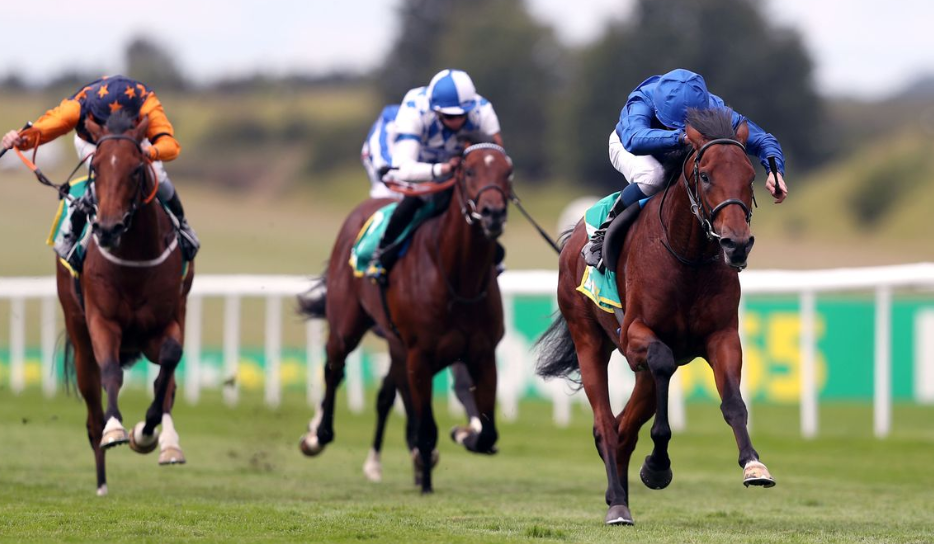 How Racehorses Develop Muscle Power
